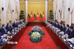 Chủ tịch nước Lương Cường hội đàm với Tổng thống Litva Gitanas Nauseda. (Ảnh: Lâm Khánh/TTXVN)