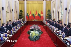 Chủ tịch nước Lương Cường hội đàm với Tổng thống Litva Gitanas Nauseda. (Ảnh: Lâm Khánh/TTXVN)