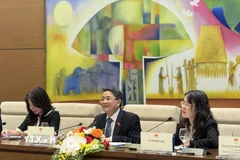 Phó Chủ tịch Quốc hội Nguyễn Đức Hải (giữa) phát biểu tại cuộc tiếp. (Ảnh: Diệp Trương/TTXVN)