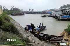 Đặc khu Cô Tô kiên quyết sơ tán dân khỏi vùng nguy hiểm. (Ảnh: TTXVN phát)