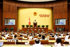Quang cảnh phiên họp. (Ảnh: Doãn Tấn/TTXVN)