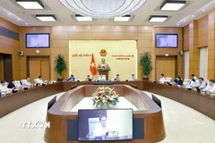 Chủ nhiệm Ủy ban Kinh tế và Tài chính của Quốc hội Phan Văn Mãi phát biểu. (Ảnh: Doãn Tấn/TTXVN)