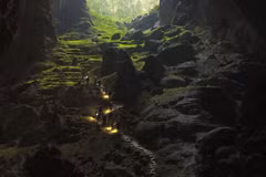 . (Nguồn: baovanhoa.vn)