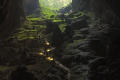 . (Nguồn: baovanhoa.vn)