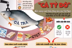 Những giá trị đặc biệt đưa cá tra thành điểm sáng xuất khẩu của Việt Nam