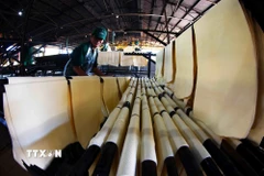 Hoạt động tại nhà máy của Công ty Trách nhiệm hữu hạn Một thành viên Cao su Kon Tum. (Ảnh: Vũ Sinh/TTXVN)