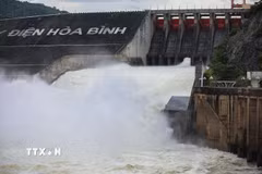 (Ảnh minh họa: Trọng Đạt/TTXVN)