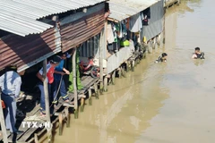 Lực lượng chức năng tổ chức tìm kiếm cháu bé nghi bị rơi xuống kênh xáng. (Ảnh: TTXVN phát)