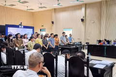 Quang cảnh phiên toà ngày 6/4. (Ảnh: TTXVN phát)
