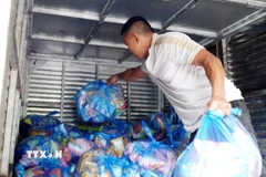 Xếp hàng cứu trợ lên xe tải để chở vào cứu trợ người dân vùng lũ Gia Lai. (Ảnh: Lê Phước Ngọc/TTXVN)