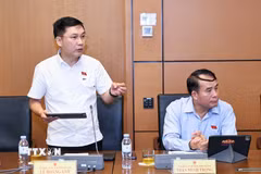 Đại biểu Quốc hội tỉnh Gia Lai Lê Hoàng Anh phát biểu. (Ảnh: Doãn Tấn/TTXVN)