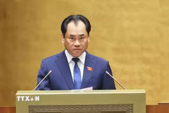 Bộ trưởng Bộ Nông nghiệp và Môi trường Trịnh Việt Hùng, thừa ủy quyền của Thủ tướng Chính phủ trình bày Tờ trình về dự án Luật sửa đổi, bổ sung một số điều của 10 luật có liên quan đến thủ tục hành chính, điều kiện kinh doanh trong lĩnh vực nông nghiệp và môi trường. (Ảnh: Doãn Tấn/TTXVN)
