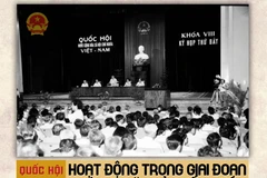 Quốc hội khóa VIII: Hoạt động trong giai đoạn bước ngoặt của đất nước