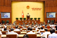 Quang cảnh phiên họp. (Ảnh: Doãn Tấn/TTXVN)