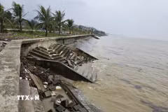 Tuyến kè biển Hải Tiến dài khoảng 300m bị sóng biển đánh sụt lún, nứt gãy. (Ảnh: Việt Hoàng/TTXVN)