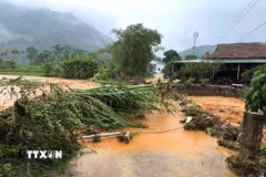Nước lũ cuốn theo cây cối, bùn đất tràn vào thôn Chì, xã Xuân Giang (tỉnh Tuyên Quang). (Ảnh: Minh Tâm/TTXVN)