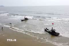Mặc dù giá nhiên liệu tăng cao, nhưng ngư dân Thanh Hóa vẫn tiếp tục bám biển, mưu sinh và giữ gìn nghề truyền thống. (Ảnh: Hoa Mai/TTXVN)