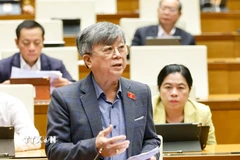 Đại biểu Quốc hội Thành phố Hồ Chí Minh Trương Trọng Nghĩa phát biểu. (Ảnh: Doãn Tấn/TTXVN)