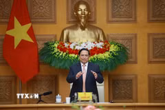 Thủ tướng Phạm Minh Chính phát biểu tại buổi tiếp Tiến sỹ Philipp Rösler, Chủ tịch Diễn đàn Kinh tế Thụy Sĩ-Việt Nam (SVEF) cùng các doanh nghiệp Thụy Sỹ và châu Âu. (Ảnh: Dương Giang/TTXVN)