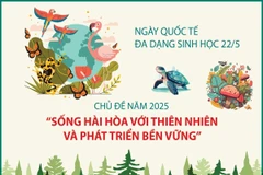 Ngày Quốc tế Đa dạng sinh học 22/5: Vì sự phát triển bền vững của hành tinh