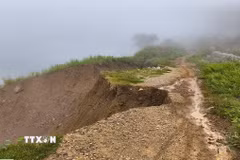 Mưa lớn cục bộ có khả năng gây ra lũ quét trên các sông, suối nhỏ, sạt lở đất trên sườn dốc và tình trạng ngập úng tại các vùng trũng, thấp. (Ảnh minh họa: TTXVN phát)