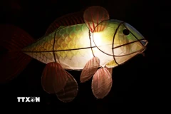 Đèn hình cá rực rỡ sắc màu trong Chương trình Trung thu Hoàng cung Huế 2025. (Ảnh: Nguyên Lý/TTXVN)