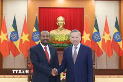 Tổng Bí thư Tô Lâm tiếp Thủ tướng Cộng hòa Dân chủ Liên bang Ethiopia, Chủ tịch Đảng Thịnh Vượng Abiy Ahmed Ali. (Ảnh: Thống Nhất/TTXVN)