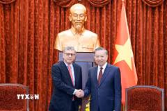Tổng Bí thư, Chủ tịch nước Tô Lâm tiếp Đại sứ Cộng hòa Liên bang Brazil tại Việt Nam Marco Farani. (Ảnh: Thống Nhất/TTXVN)