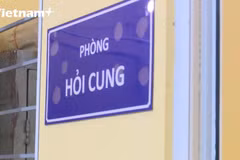 Khởi tố các đối tượng vi phạm quy định về hoạt động bán đấu giá tài sản tại Ninh Bình và Thanh Hóa. (Nguồn: Vietnam+)