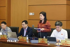 Đại biểu Quốc hội Thành phố Hà Nội Nguyễn Phương Thủy thảo luận ở tổ. (Ảnh: Phương Hoa/TTXVN)