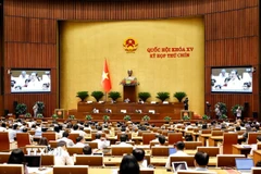 Quang cảnh phiên họp sáng 12/5. (Ảnh: Doãn Tấn/TTXVN)