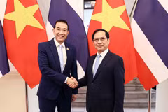 Phó Thủ tướng, Bộ trưởng Ngoại giao Bùi Thanh Sơn đón Bộ trưởng Ngoại giao Thái Lan Maris Sangiampongsa. (Ảnh: An Đăng/TTXVN)
