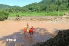 Cán bộ, công nhân viên Công ty Điện lực Sơn La tiếp cận các vị trí hệ thống điện bị ảnh hưởng trên địa bàn khu vực Sông Mã-Sốp Cộp. (Ảnh: TTXVN phát)