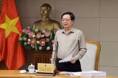 Phó Thủ tướng Hồ Quốc Dũng phát biểu tại cuộc họp. (Ảnh: Xuân Tùng/TTXVN)