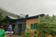 Lực lượng chức năng tỉnh Kon Tum hỗ trợ người dân khắc phục thiệt hại về nhà ở. (Ảnh: TTXVN phát)