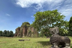 Tháp Chiên Đàn có 3 ngọn tháp gồm tháp Nam, tháp Giữa và tháp Bắc với những tác phẩm điêu khắc quan trọng của nghệ thuật Champa vào thế kỷ XI-XII. (Ảnh: Đỗ Trưởng/TTXVN)