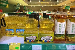 Dầu ăn do doanh nghiệp Richardson của Canada chế biến từ hạt cải dầu được bày bán tại siêu thị ở thủ đô Bắc Kinh, Trung Quốc, ngày 6/3/2019. (Ảnh: AP/TTXVN)