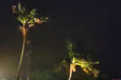 Cận cảnh bão Halong gây mưa kỷ lục và gió giật gần 200 km/h tại Nhật Bản