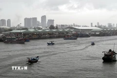 Tàu thuyền neo đậu tránh bão an toàn tại Âu thuyền Thọ Quang (Đà Nẵng). (Ảnh: Trần Lê Lâm/ TTXVN)