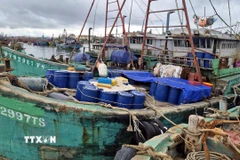 Tàu BV-92997-TS cùng tang vật và các tàu vi phạm khác được neo ở khu vực riêng tại âu thuyền Bắc Trạch, xã Bắc Trạch, tỉnh Quảng Trị. (Ảnh: TTXVN phát)