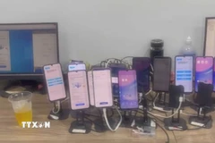 (Ảnh minh họa: TTXVN phát)