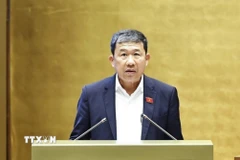 Đồng chí Vũ Hải Hà. (Ảnh: TTXVN)