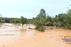 Đồng Nai bất ngờ ngập nước, nhiều người dân nghi ngờ không phải do mưa lũ