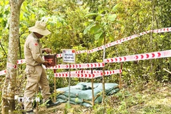 Hiện trường hủy nổ bom mìn của tổ chức PeaceTrees Vietnam tại xã Hướng Tân, huyện Hướng Hóa, tỉnh Quảng Trị. (Ảnh: Nguyên Linh/TTXVN)