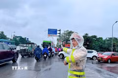 (Ảnh minh họa: TTXVN phát)