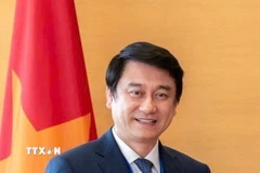 Thứ trưởng Lê Anh Tuấn. (Ảnh: TTXVN phát)