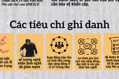 Những yếu tố làm nên nét độc đáo của tranh Đông Hồ