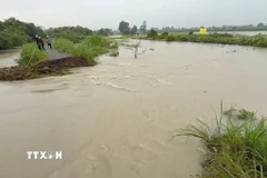 Khu vực Suối Giữa đoạn chảy qua các phường Tương Bình Hiệp, Chánh Mỹ và Hiệp Thành xảy ra tình trạng vỡ bờ bao, dòng nước tràn vào khu dân cư, gây thiệt hại về tài sản và hoa màu của hàng chục hộ dân. (Ảnh: Dương Chí Tưởng/TTXVN)