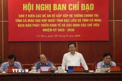 Phó Bí thư Thường trực Tỉnh ủy Cà Mau Nguyễn Đức Hiển phát biểu. (Ảnh: Kim Há/TTXVN)