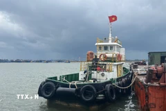 Tàu thuyền neo đậu tại vị trí an toàn tại cảng cá Thuận An, Huế. (Ảnh minh họa: Văn Dũng/TTXVN)